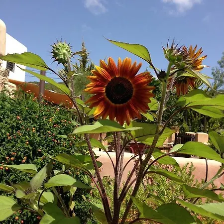 Xarc Фермерский дом Санта-Эулалия-дель-Рио